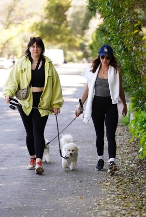 Lucy Hale - Walks her dogs in Studio City