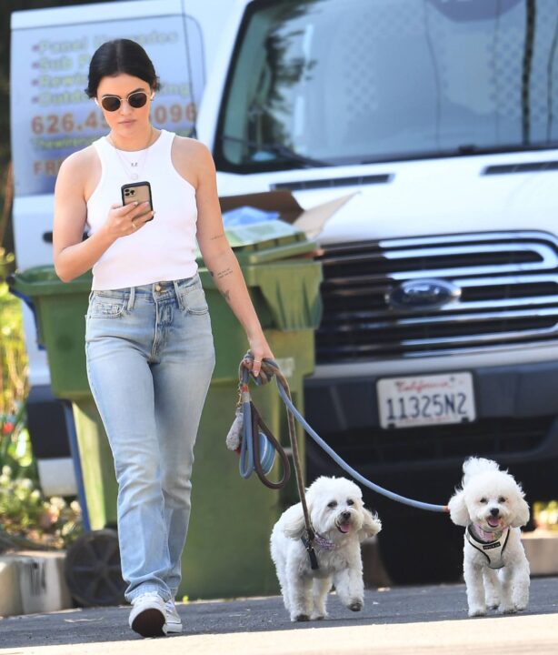 Lucy Hale - Walks her two dogs in the Los Angelis