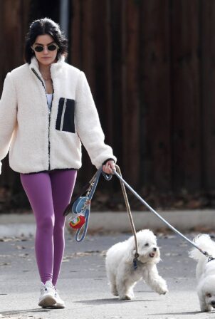 Lucy Hale - Wears a pair of purple leggings on a hike with her pooches in Los Angeles