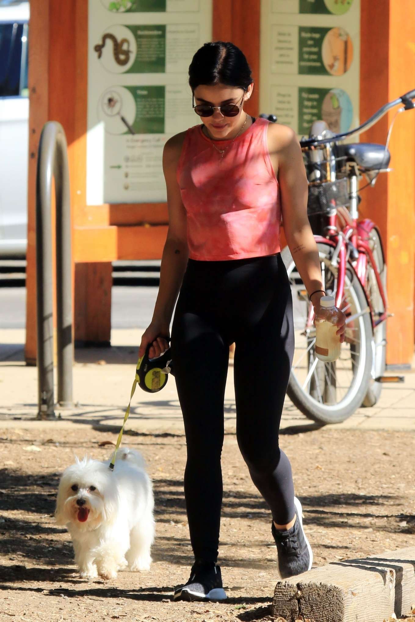 Lucy Hale with her dog Elvis out in LA