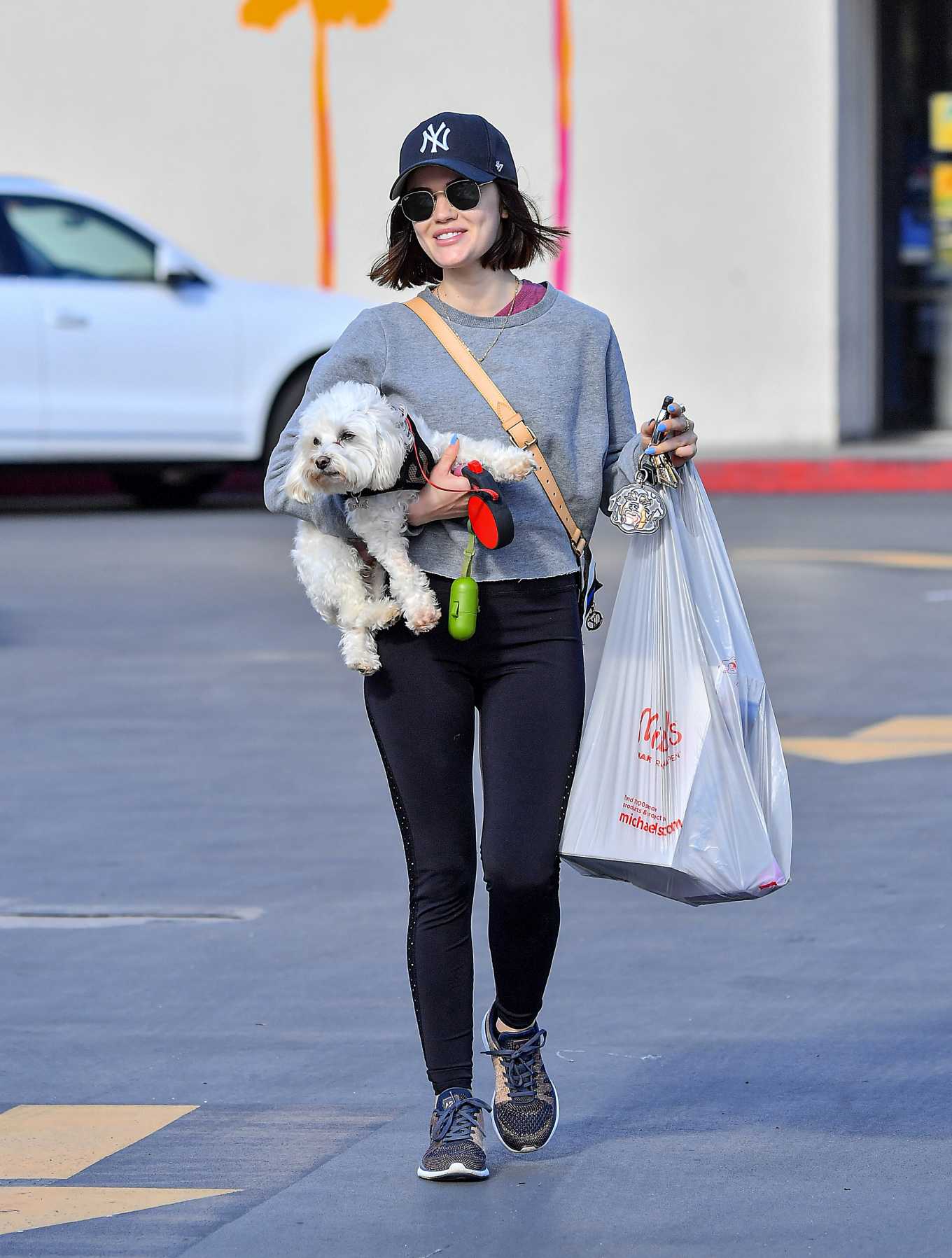Lucy Hale with her dog out in Studio City