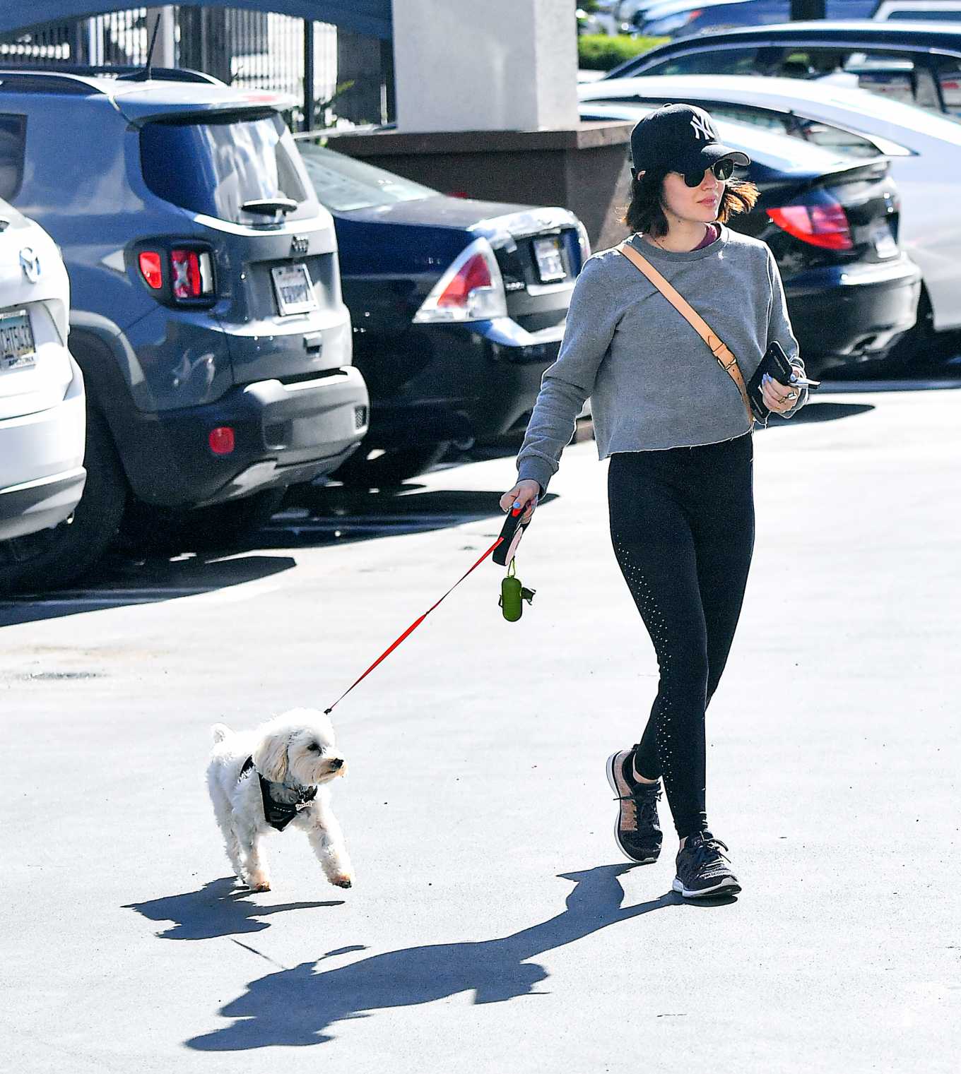 Lucy Hale with her dog out in Studio City