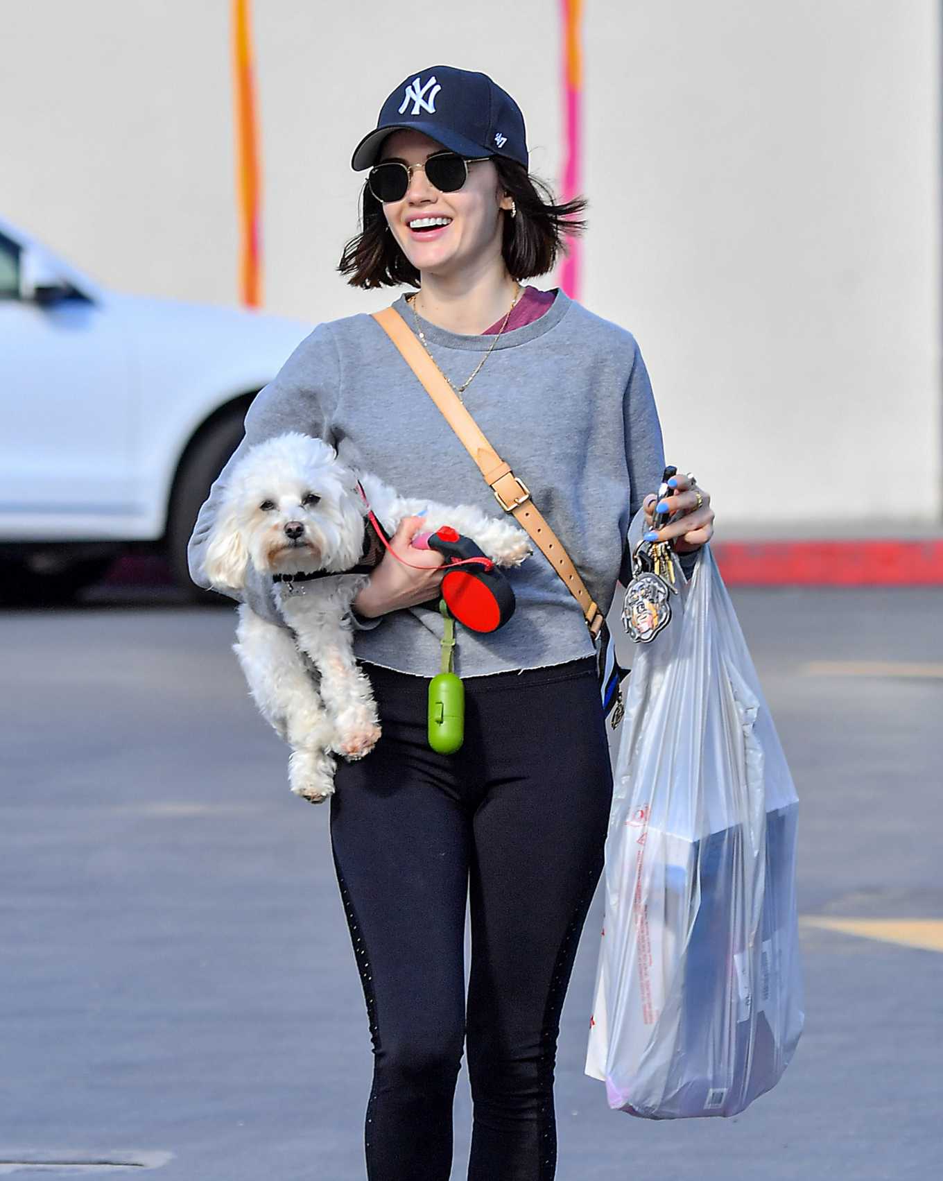 Lucy Hale With Her Dog Out In Studio City