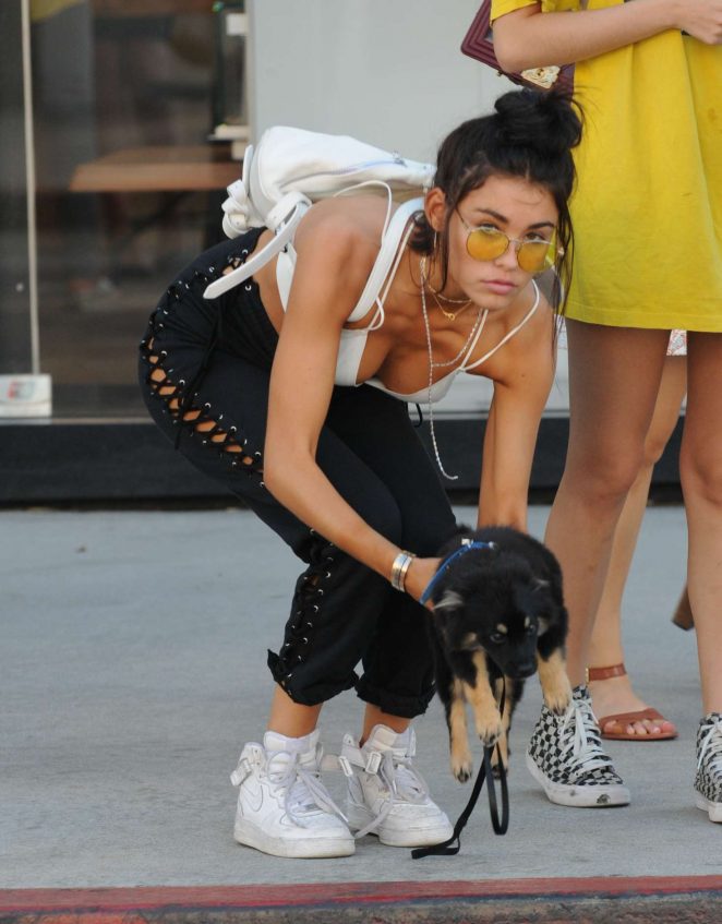 Madison Beer with her dog out in LA