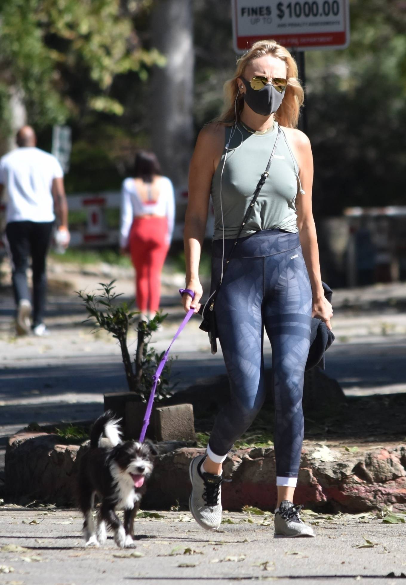 Malin Akerman â€“ Walk With Her Dog In Los Feliz