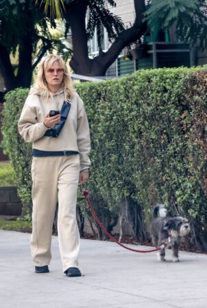 Malin Akerman - Walks her dog in Los Angeles