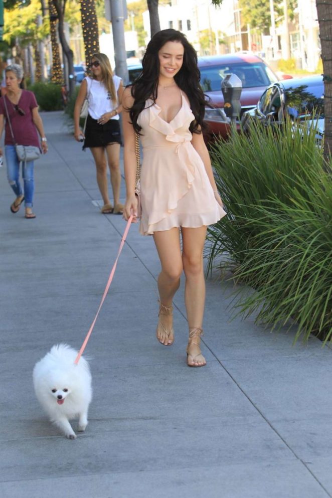 Mara Teigen Out With Her Dog in Beverly Hills