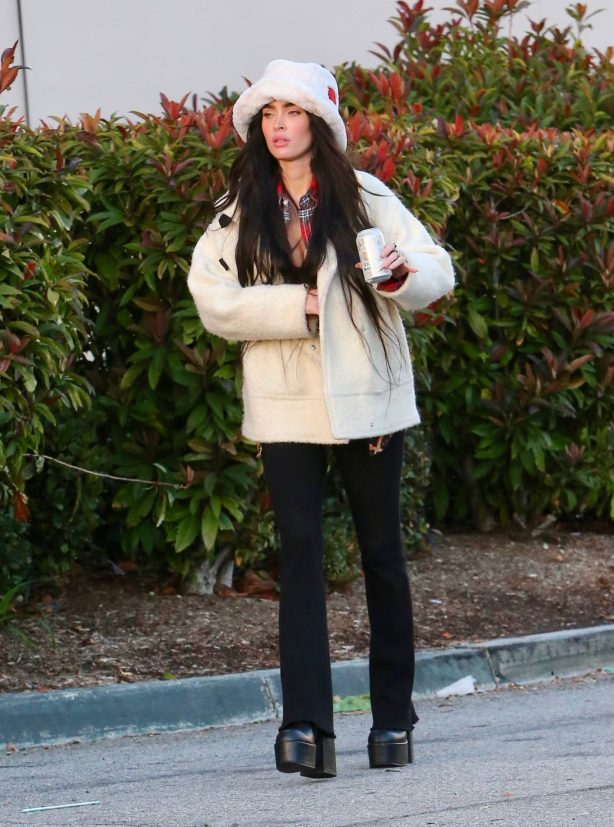 Megan Fox - Shopping for groceries on New Years Day in L.A
