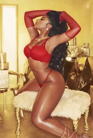 Megan Thee Stallion - New Holiday 2020 Campaign
