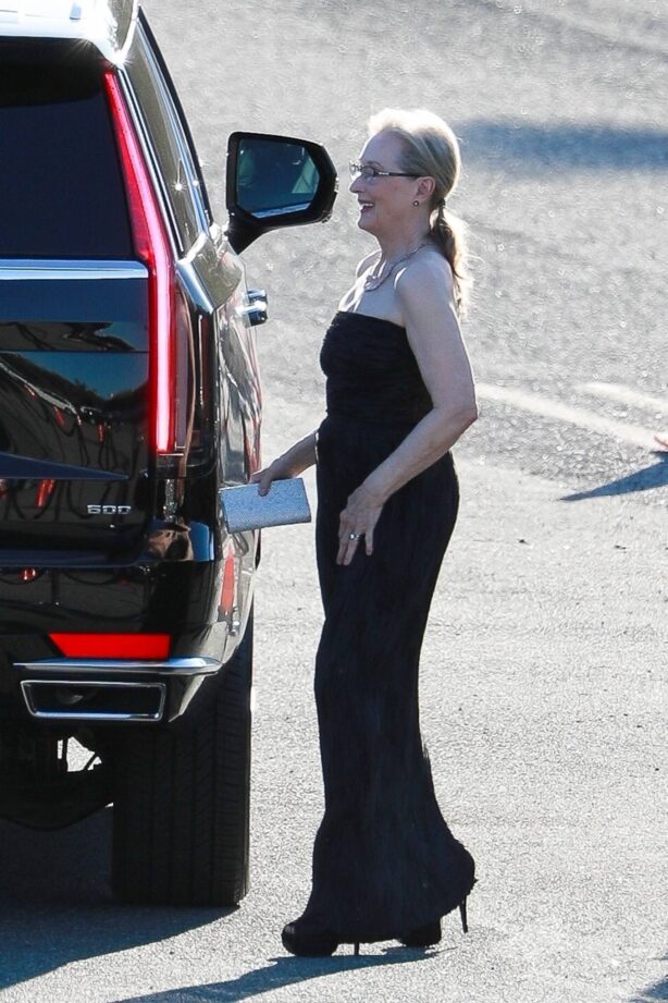 Meryl Streep - Arrives at the SAG Awards 2022 in Santa Monica