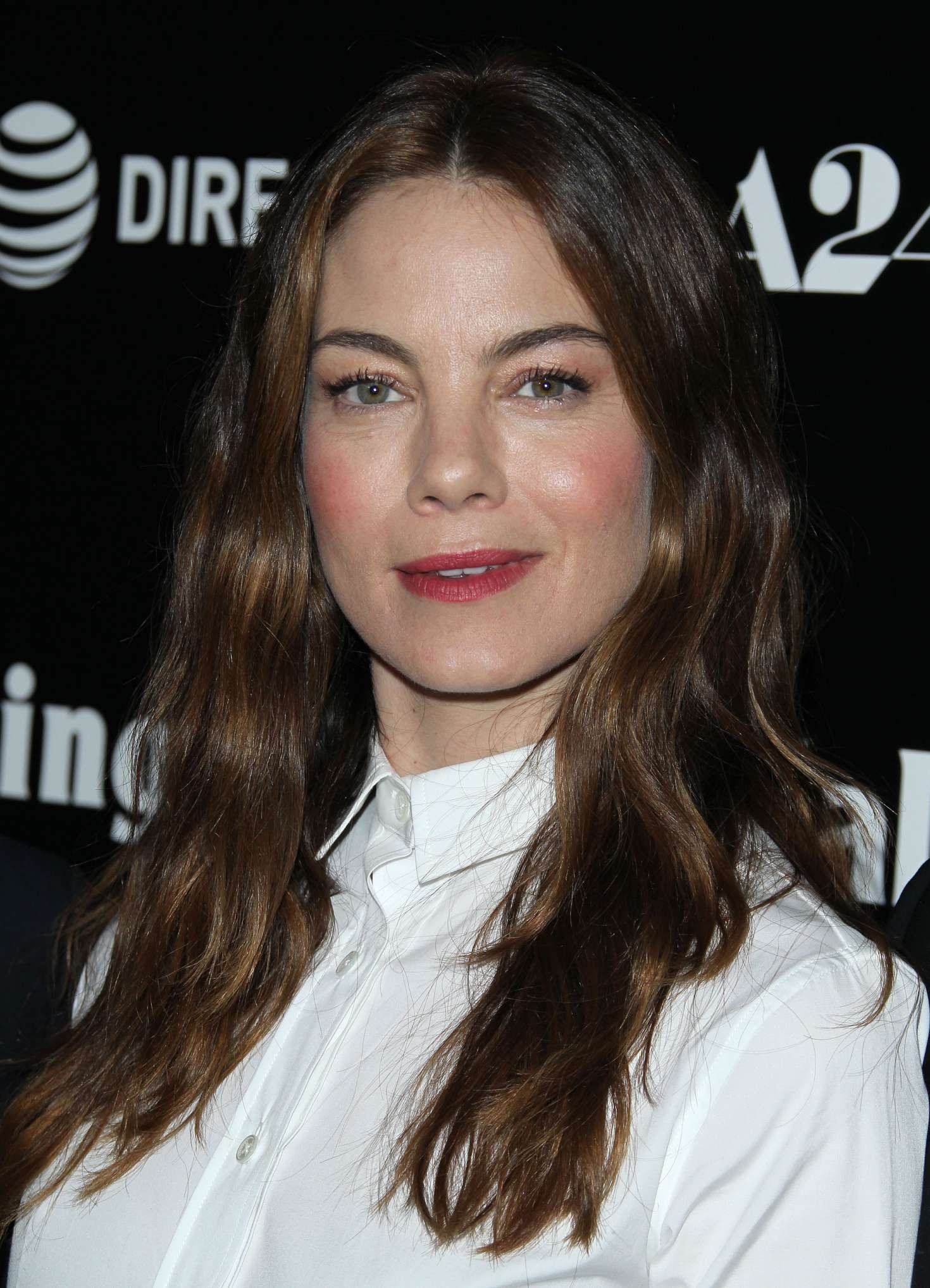 Michelle Monaghan 2018 : Michelle Monaghan: The Vanishing of Sidney Hall Pr...
