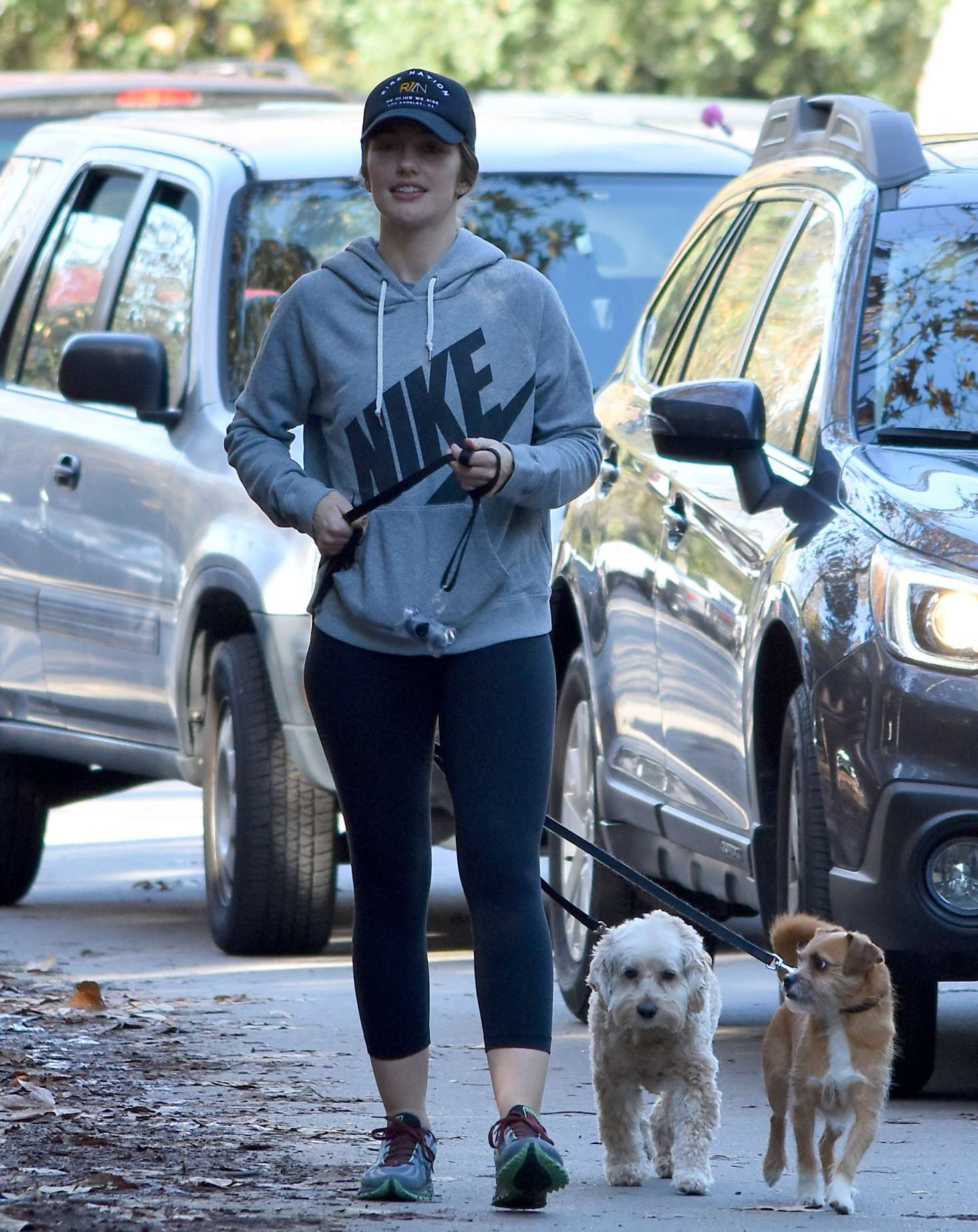 Minka Kelly 2017 : Minka Kelly with her dog out in Los Angeles -01
