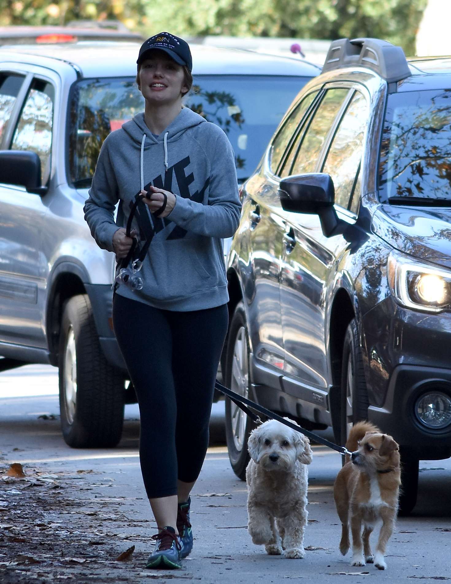 Minka Kelly 2017 : Minka Kelly with her dog out in Los Angeles -06