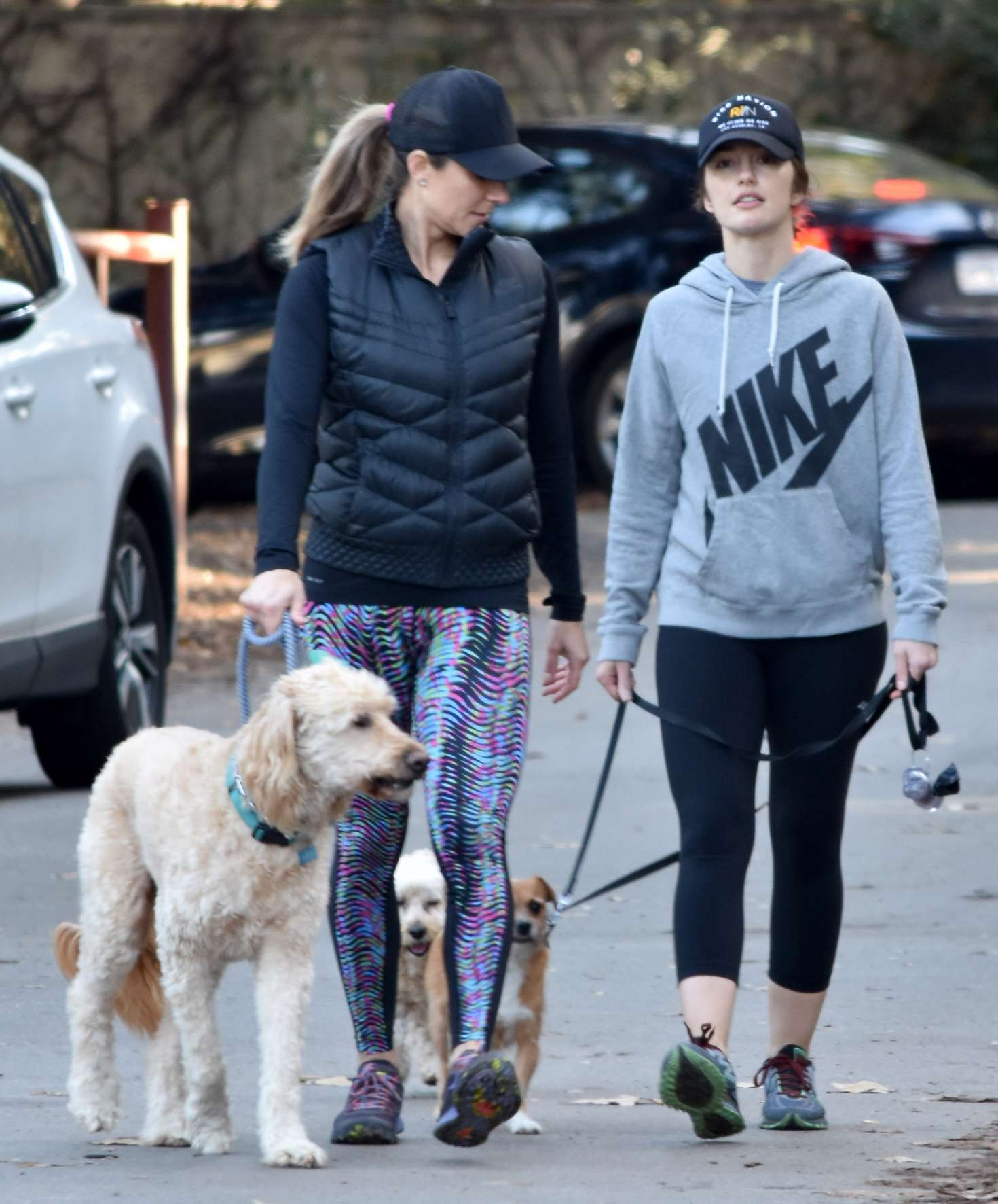 Minka Kelly 2017 : Minka Kelly with her dog out in Los Angeles -07