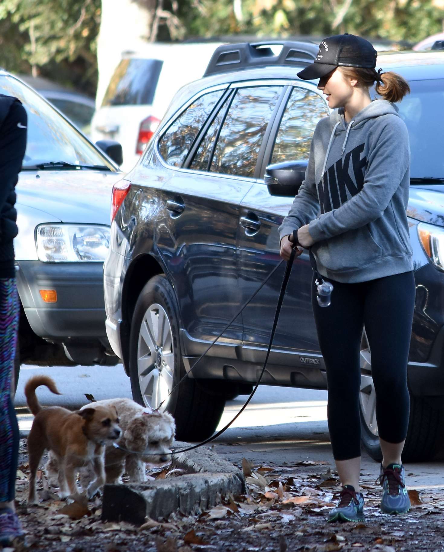 Minka Kelly 2017 : Minka Kelly with her dog out in Los Angeles -09