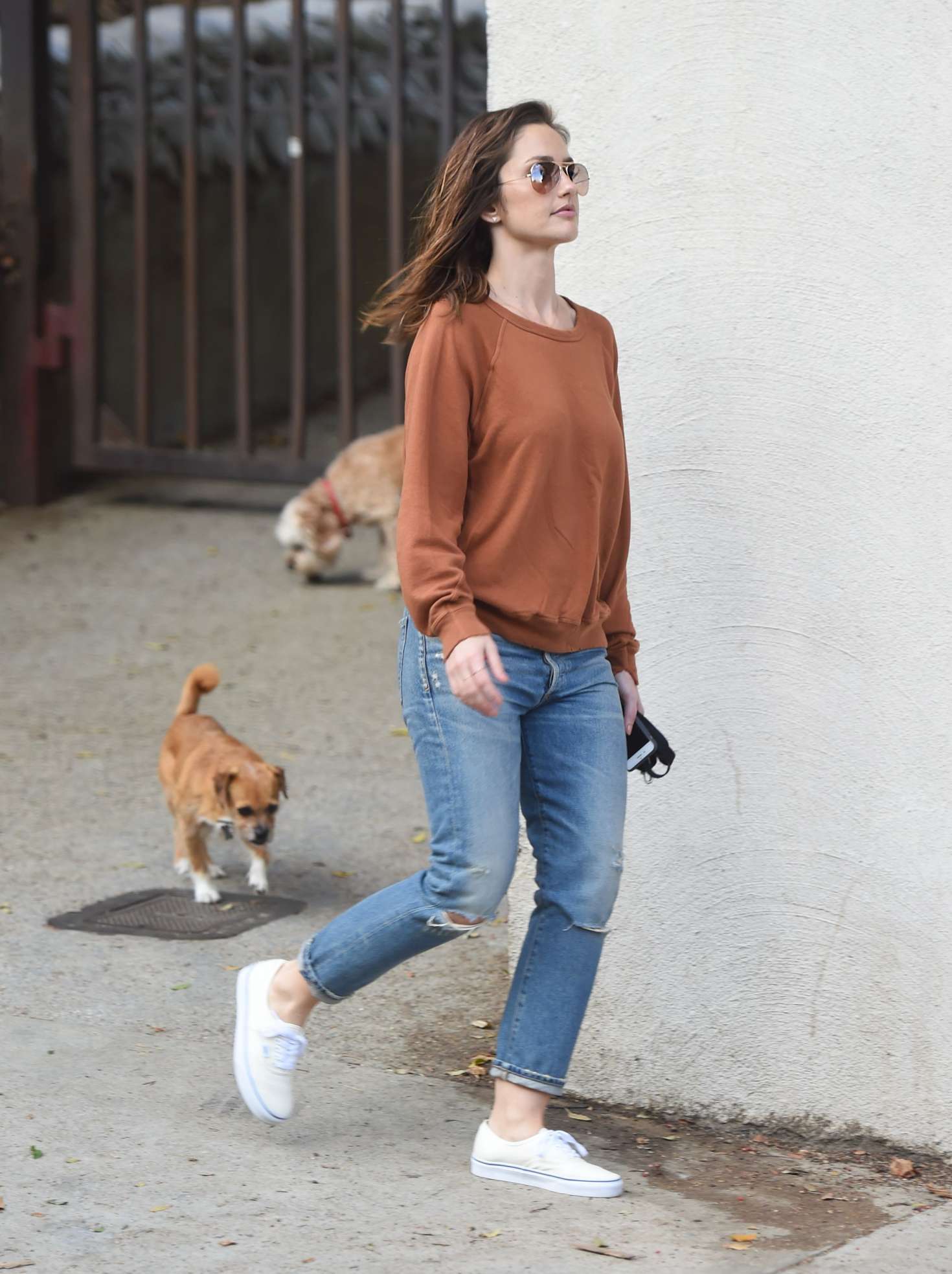 Minka Kelly 2017 : Minka Kelly with her dogs out in Hollywood -05