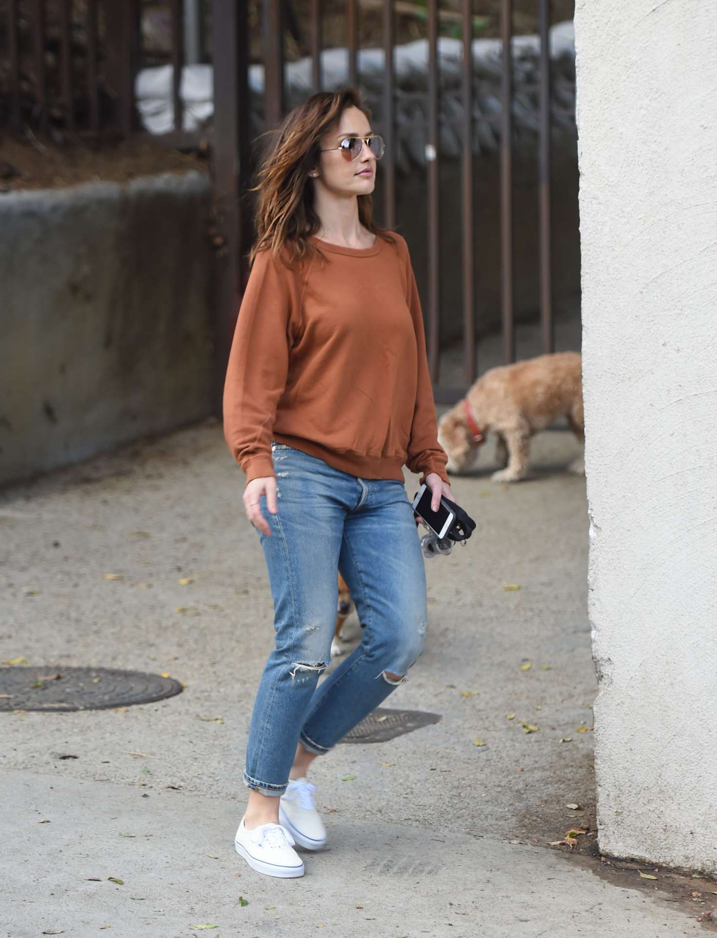 Minka Kelly 2017 : Minka Kelly with her dogs out in Hollywood -06