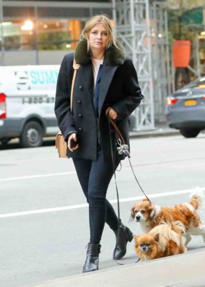 Mischa Barton with her dogs in New York City