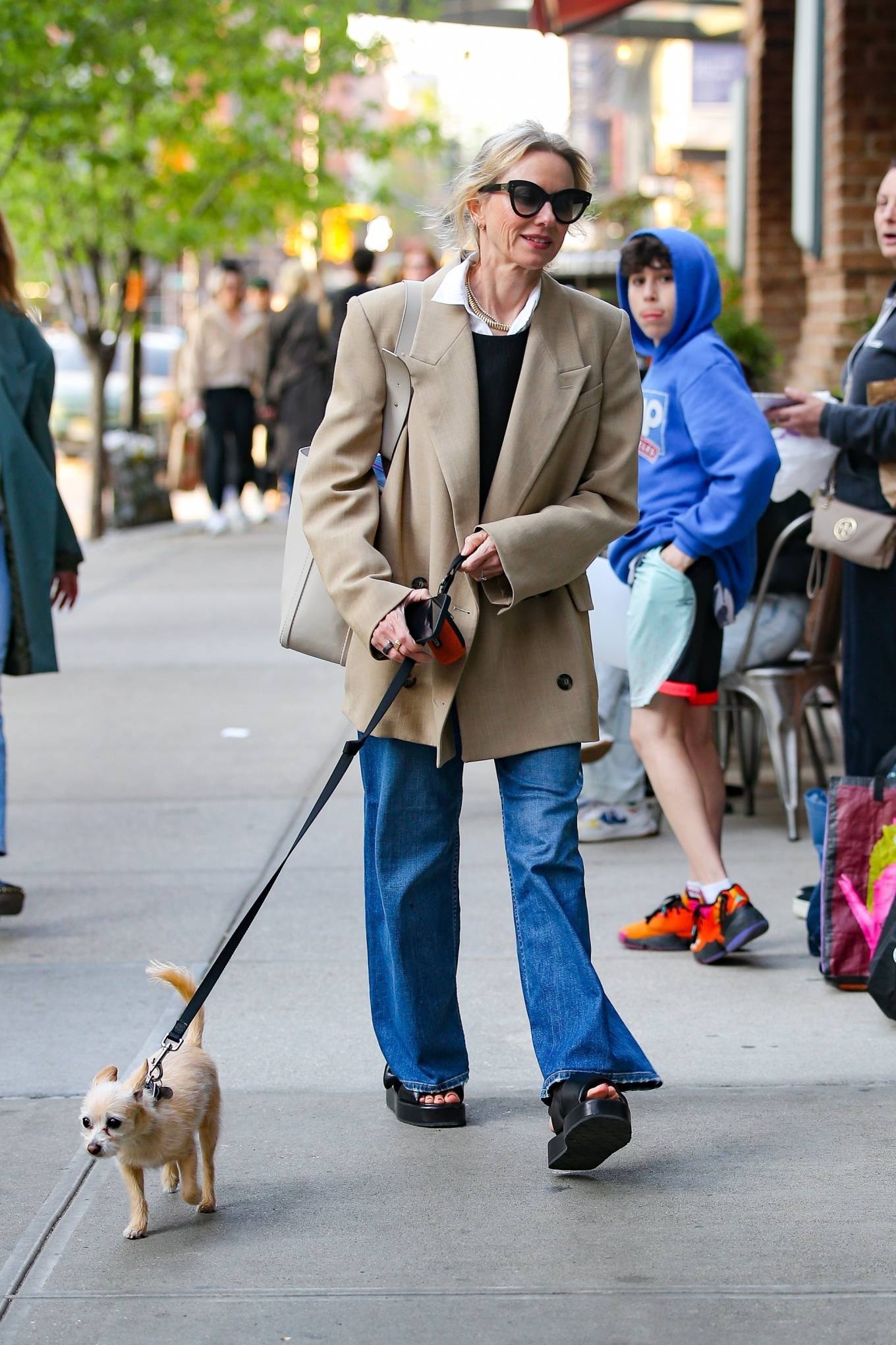 Naomi Watts - Seen walking her dog in New York