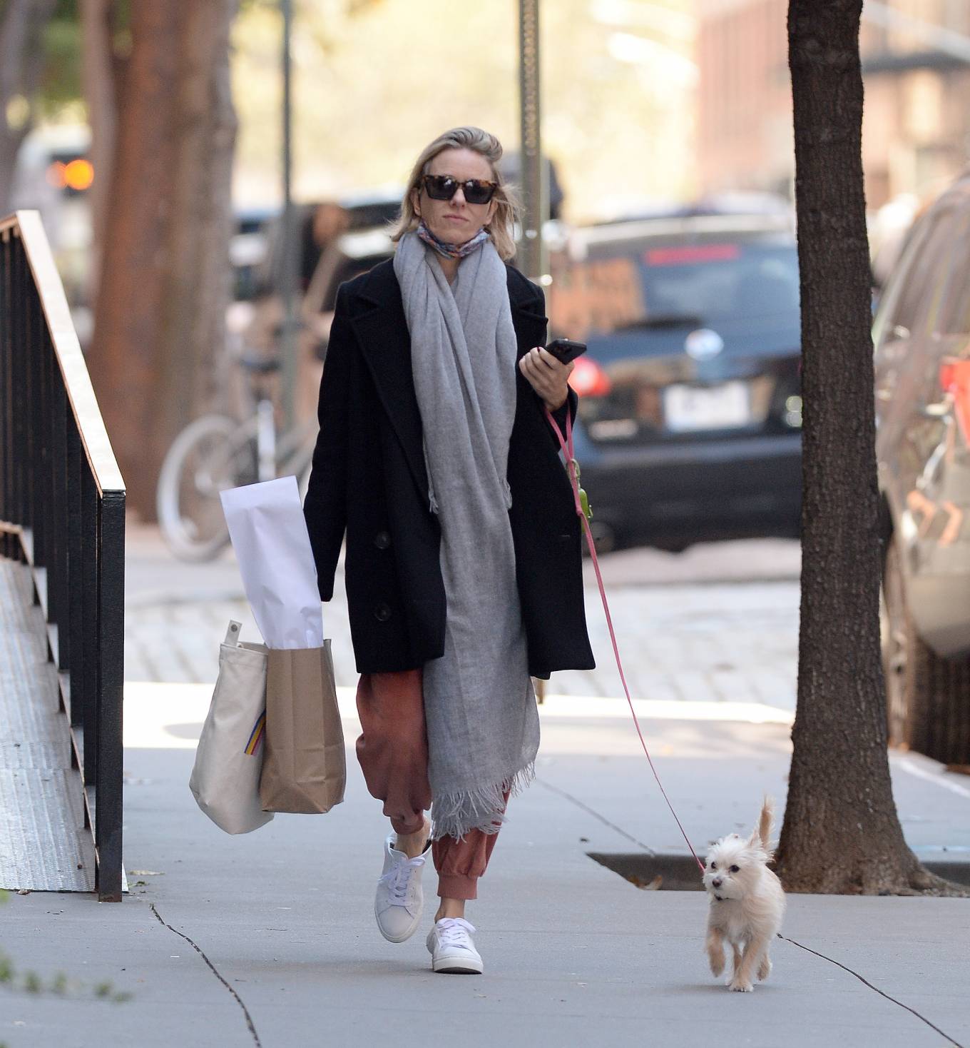 Naomi Watts - Stroll With Her Dog in New York City