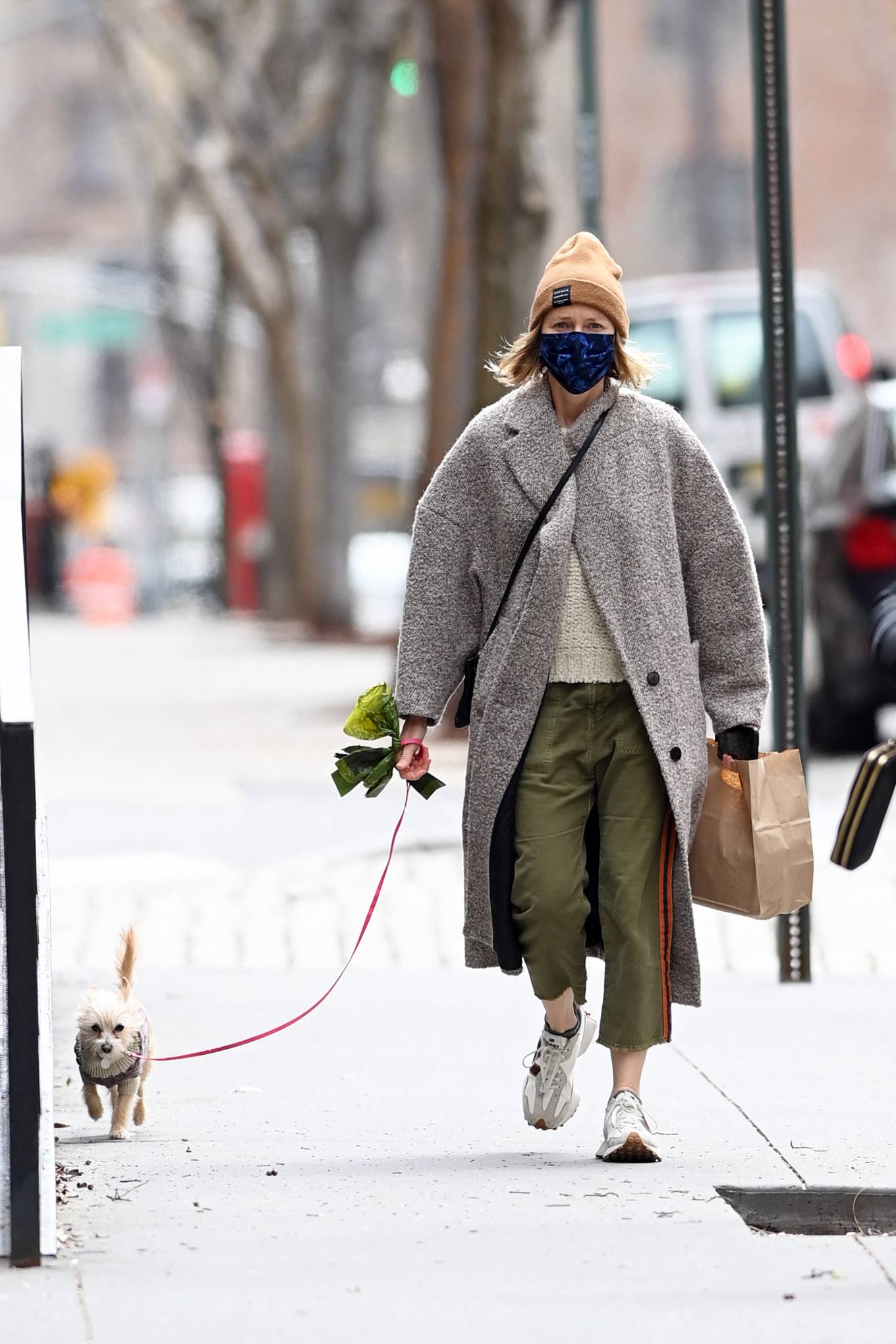 Naomi Watts - Walk her dog with in New York