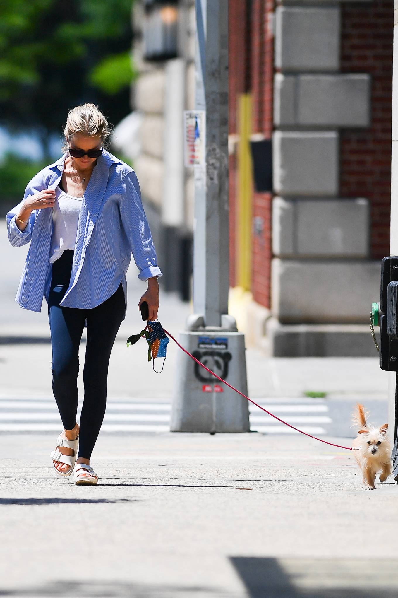 Naomi Watts 2021 : Naomi Watts – walks her dog Izzy in New York City-05