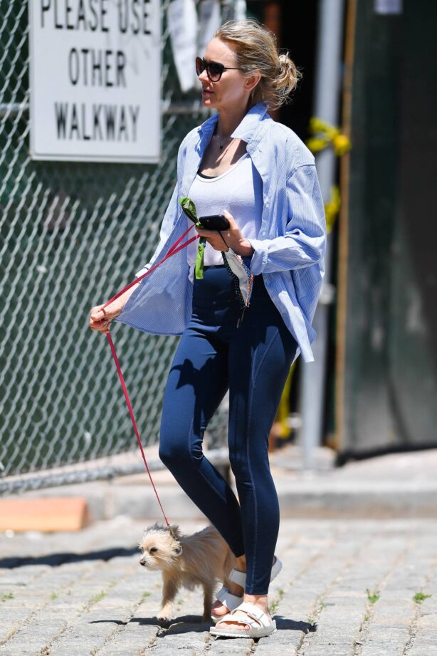 Naomi Watts - walks her dog Izzy in New York City