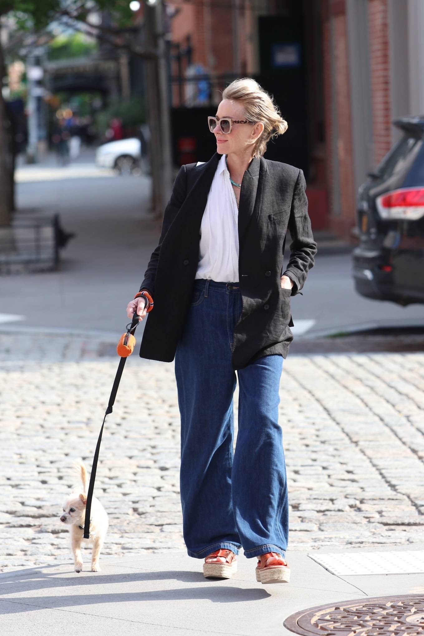 Naomi Watts - Was spotted walking her dog in Tribeca