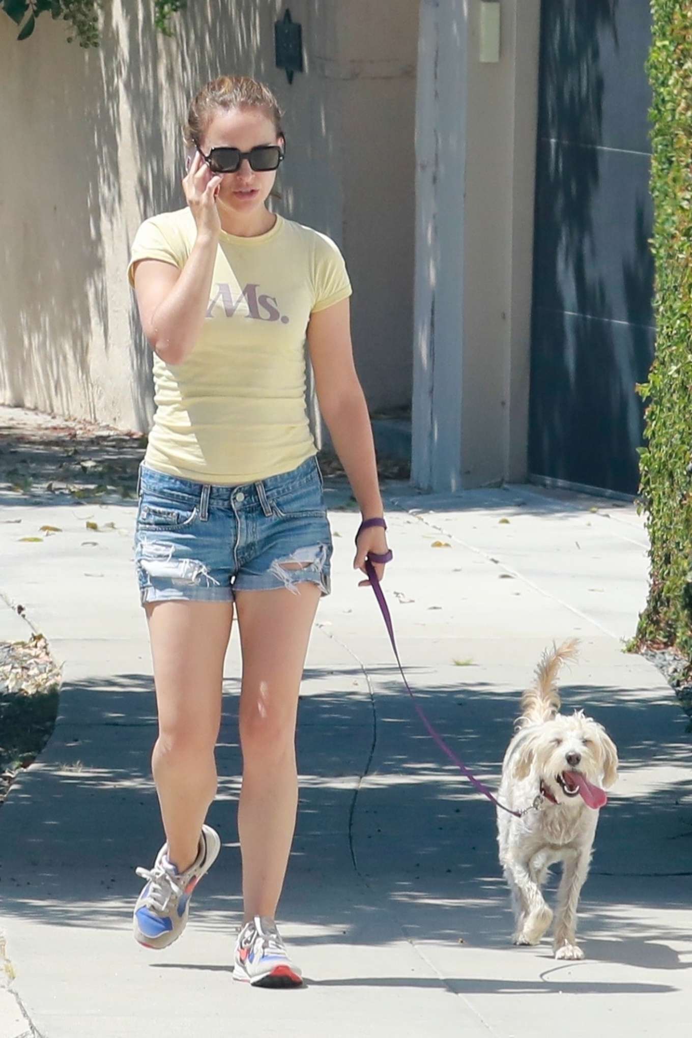 Natalie Portman - Taking her dog for a stroll in Los Angeles