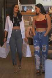 Nikki and Brie Bella - Out in Sherman Oaks