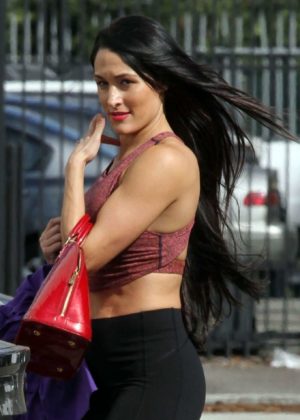 Nikki Bella - Leaves her dance workout in Los Angeles