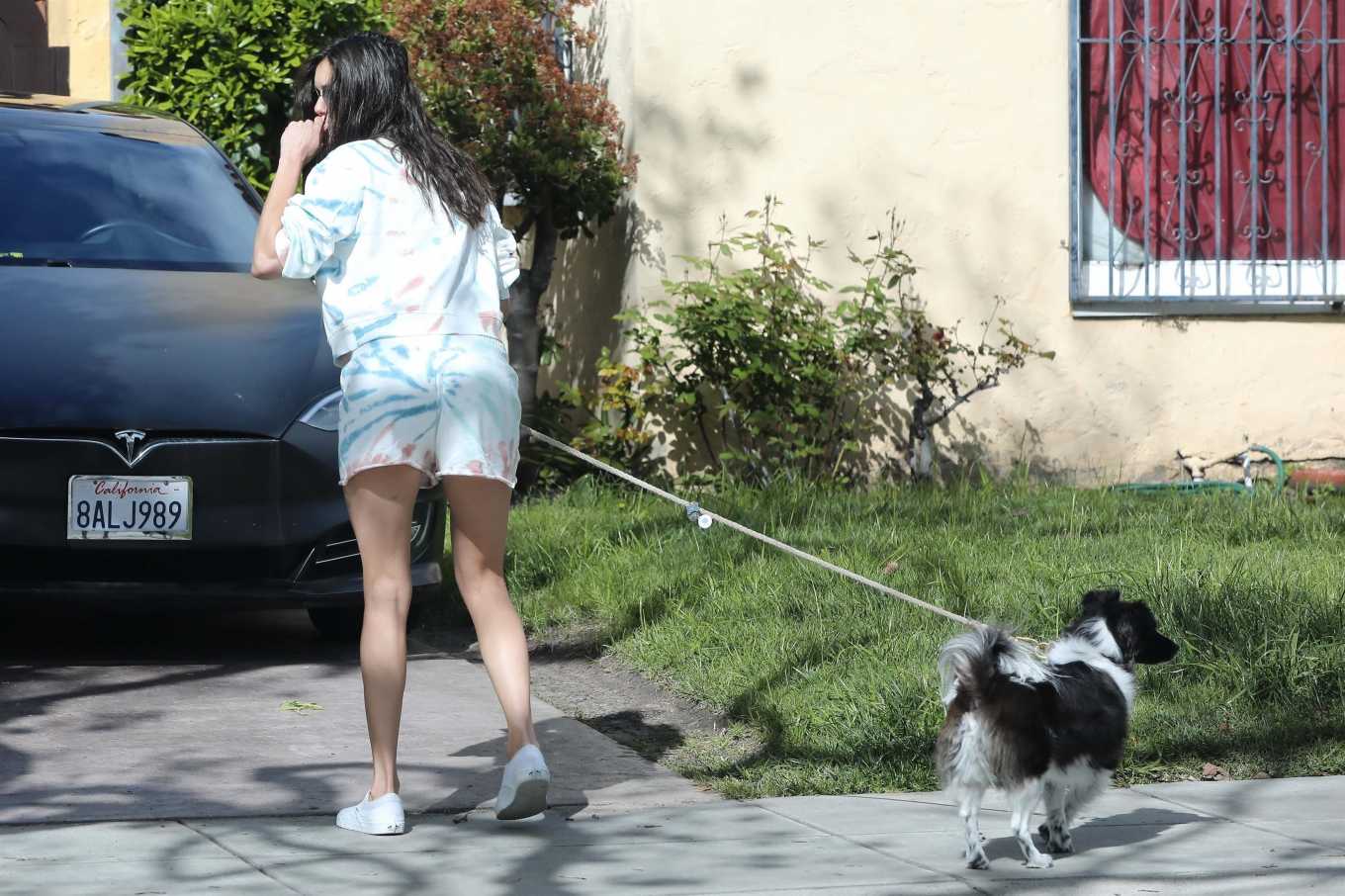 Nina Dobrev â€“ Takes her dog for a walk in Los Angeles