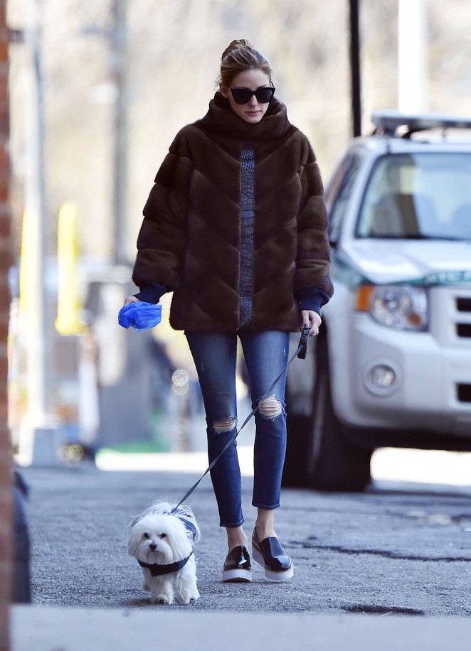 Olivia Palermo walking her dog out in New York