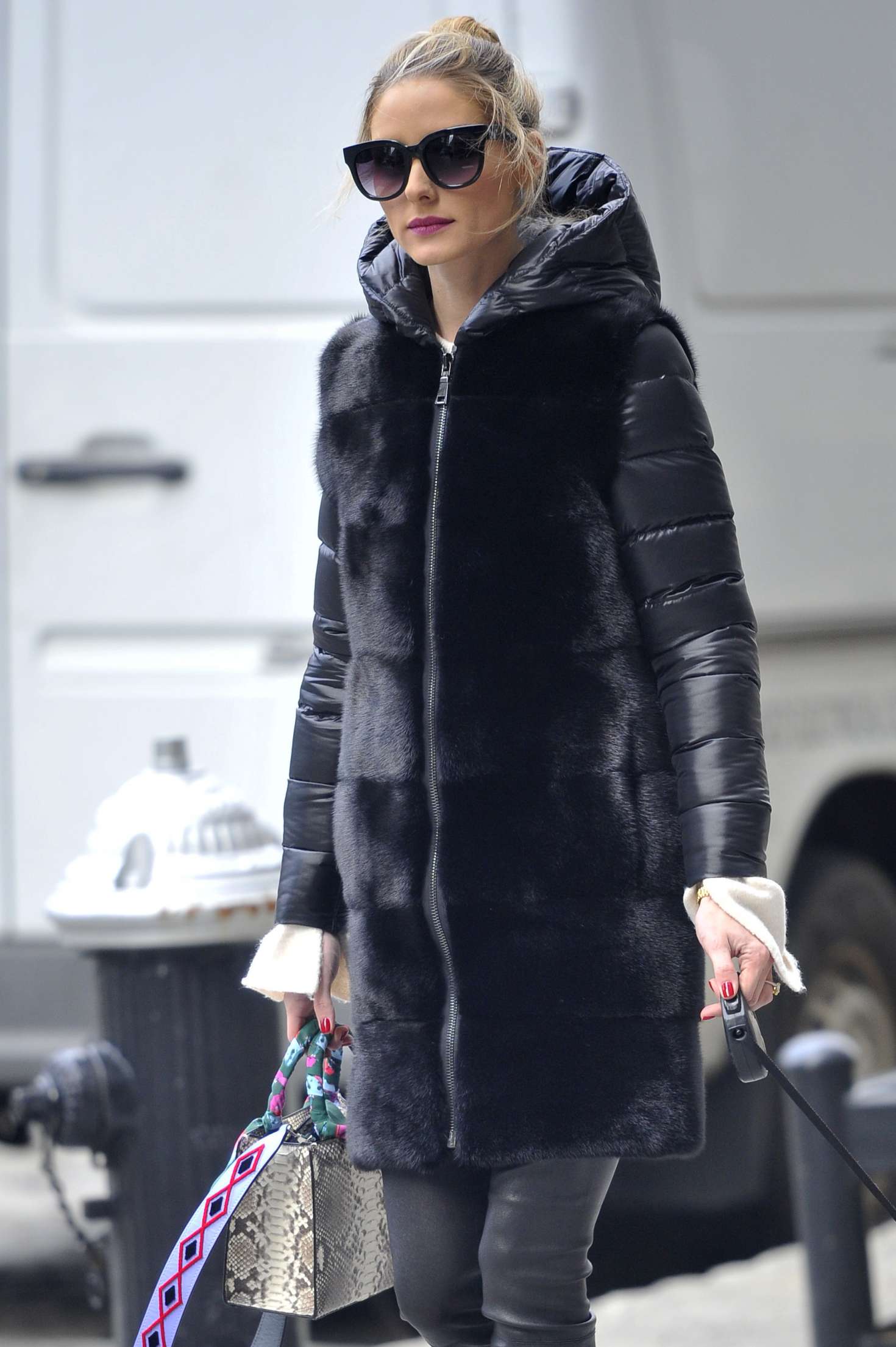 Olivia Palermo with her dog Mr Butler -14 | GotCeleb