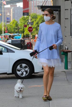 Olivia Palermo - With her dog Mr Butler out for a walk in Brooklyn