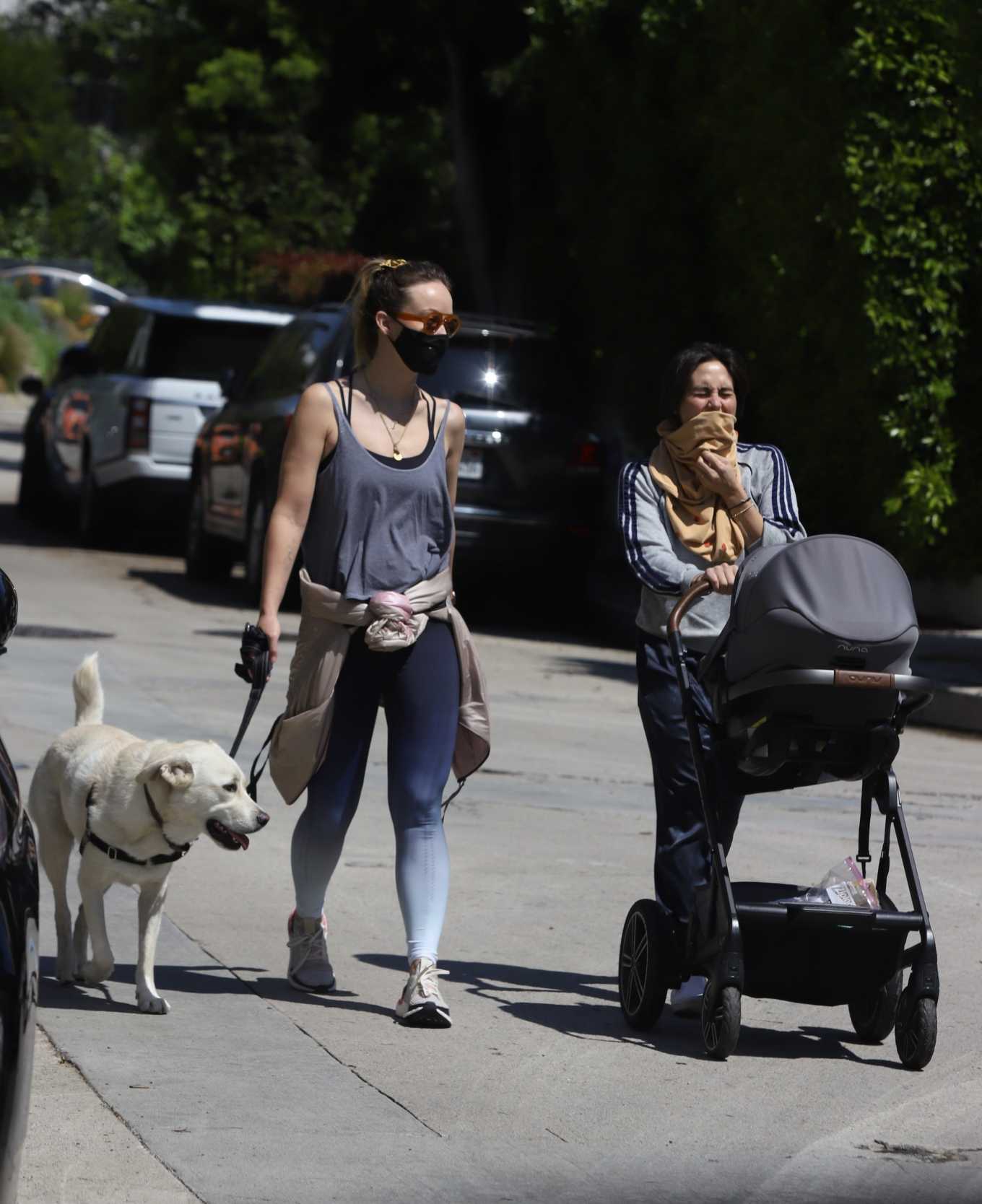 Olivia Wilde â€“ Out for a walk with her dog Los Feliz