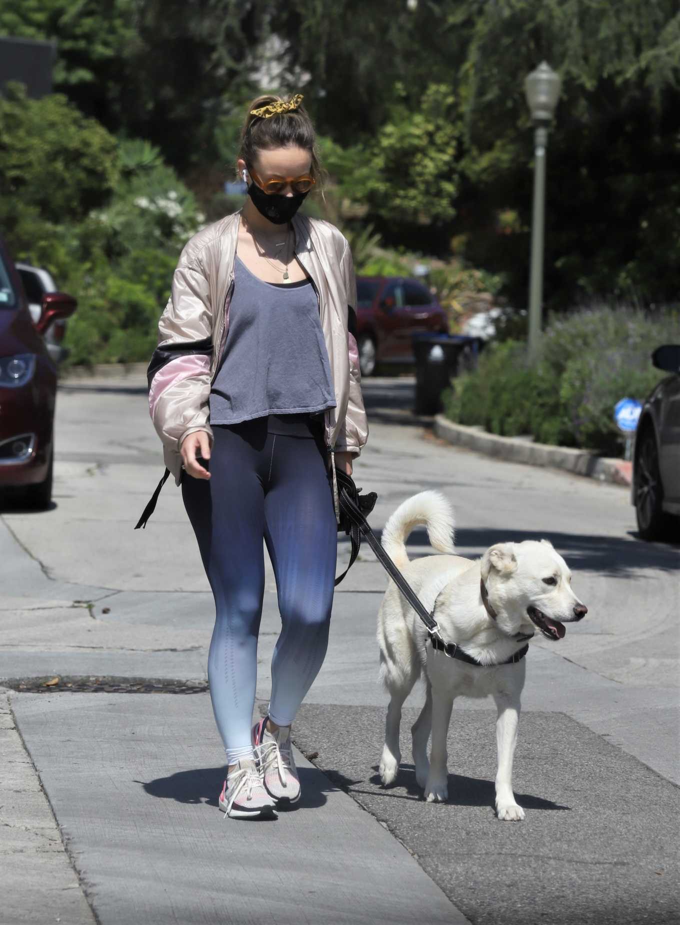 Olivia Wilde â€“ Out For A Walk With Her Dog Los Feliz