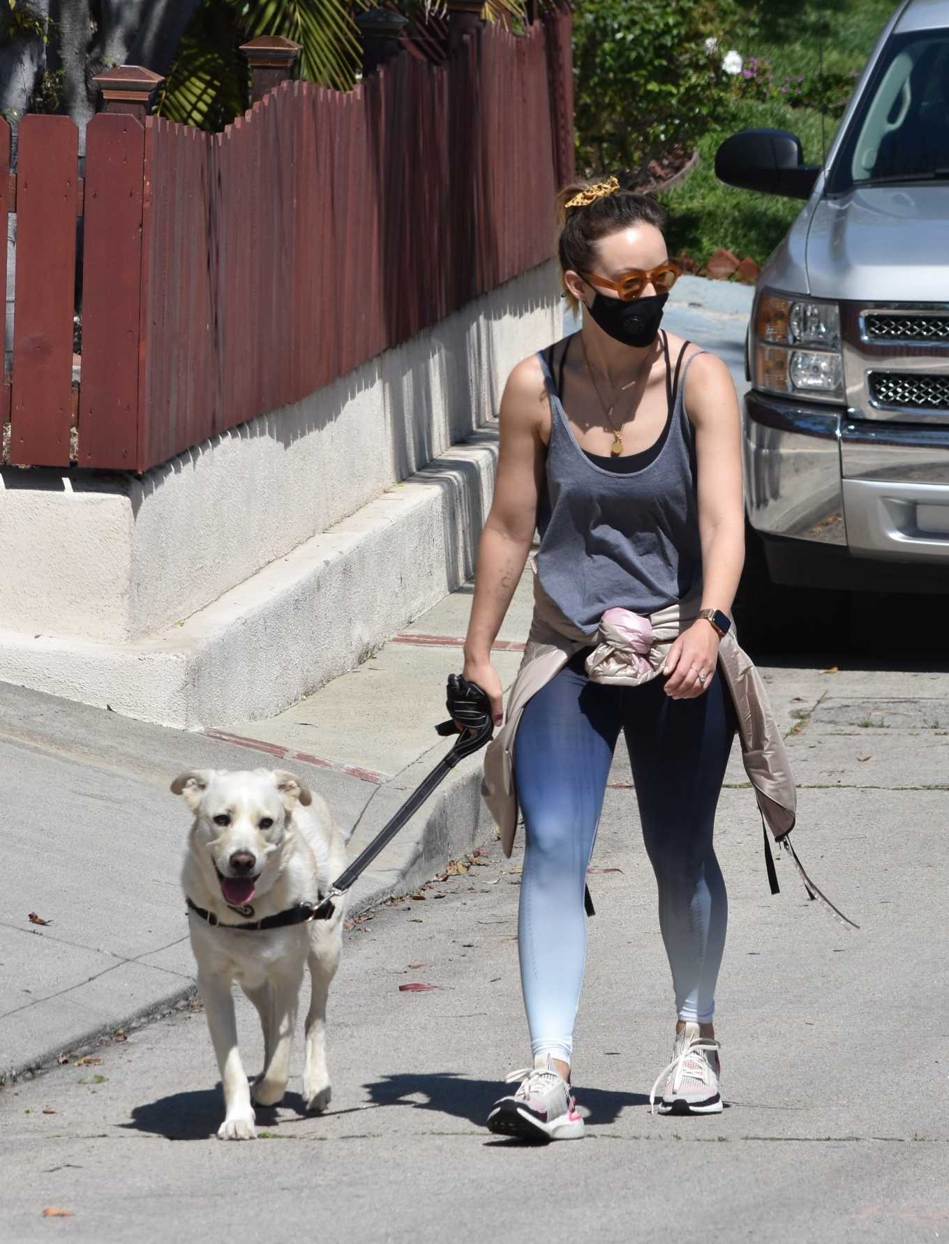 Olivia Wilde â€“ Out for a walk with her dog Los Feliz