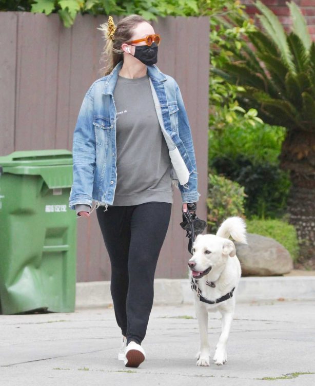 Olivia Wilde - Walks her dog neat her neighborhood in Los Angeles