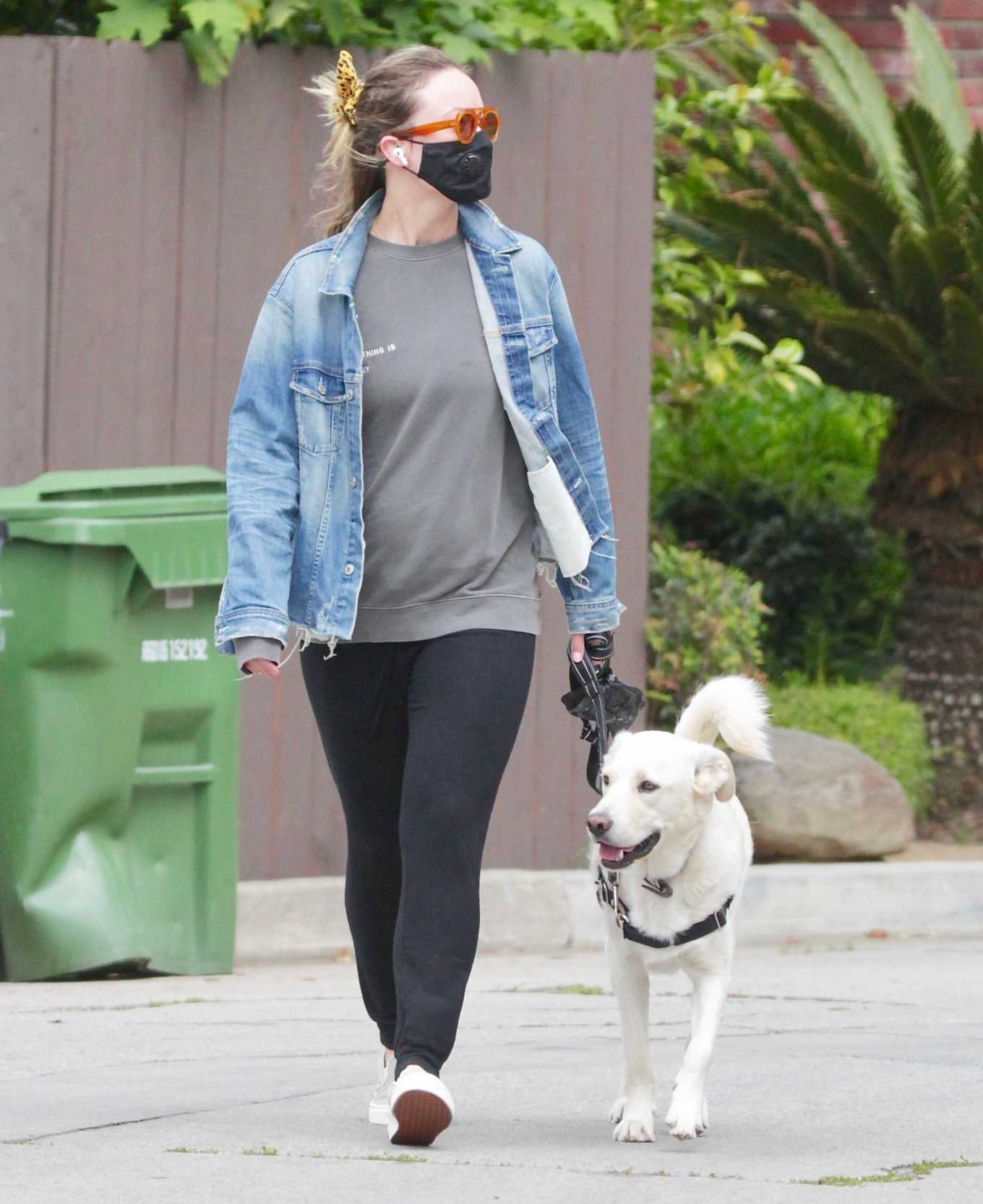 Olivia Wilde â€“ Walks Her Dog Neat Her Neighborhood In Los Angeles