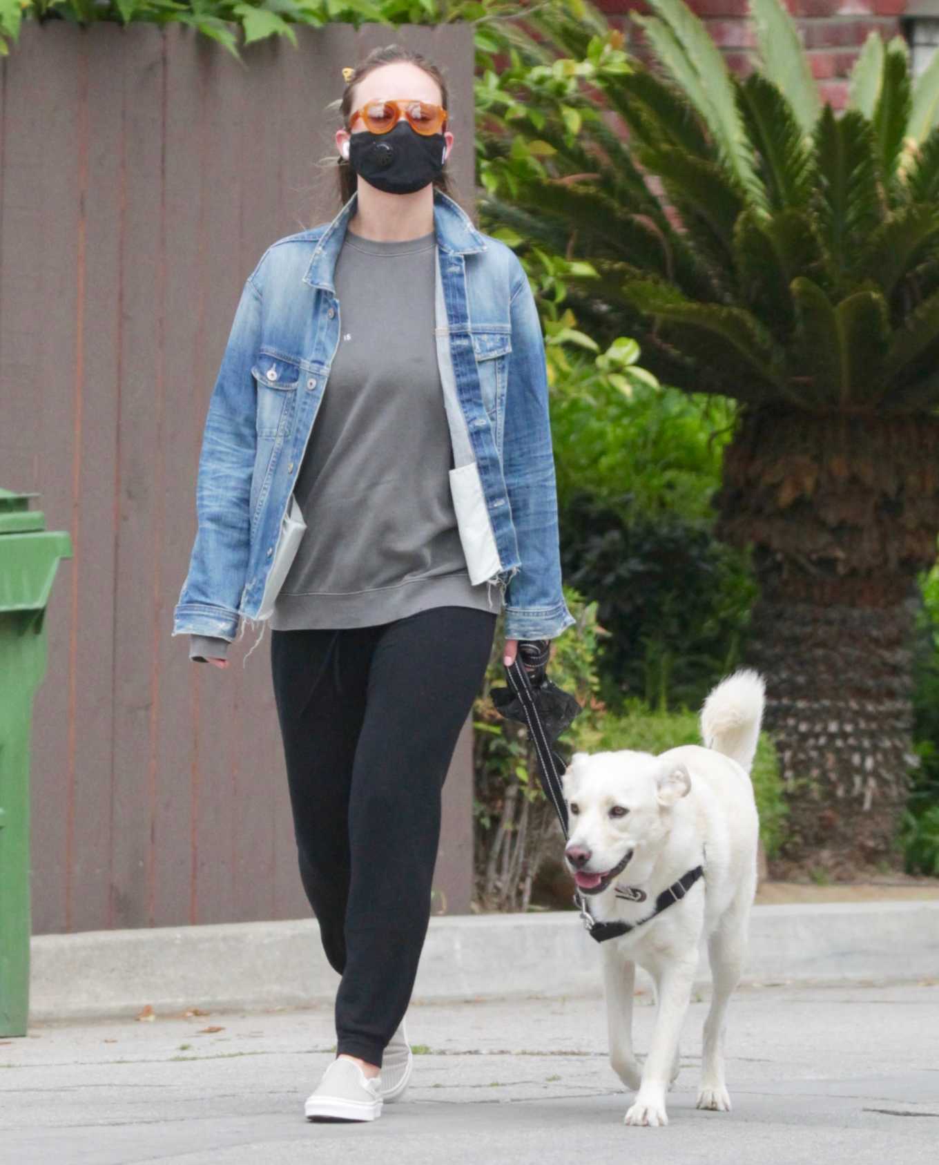 Olivia Wilde â€“ Walks her dog neat her neighborhood in Los Angeles