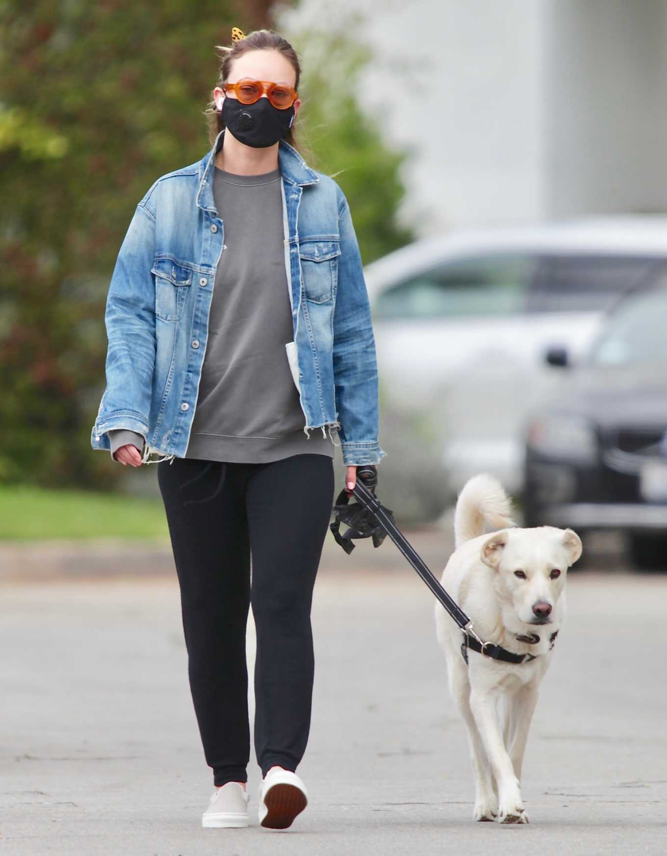 Olivia Wilde â€“ Walks her dog neat her neighborhood in Los Angeles
