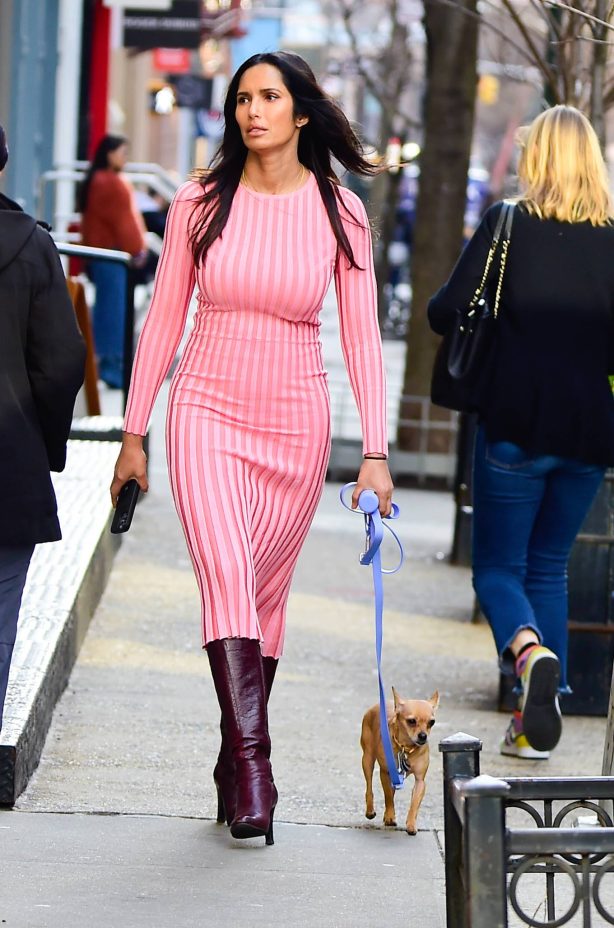 Padma Lakshmi - Seen while on a dog walk in New York