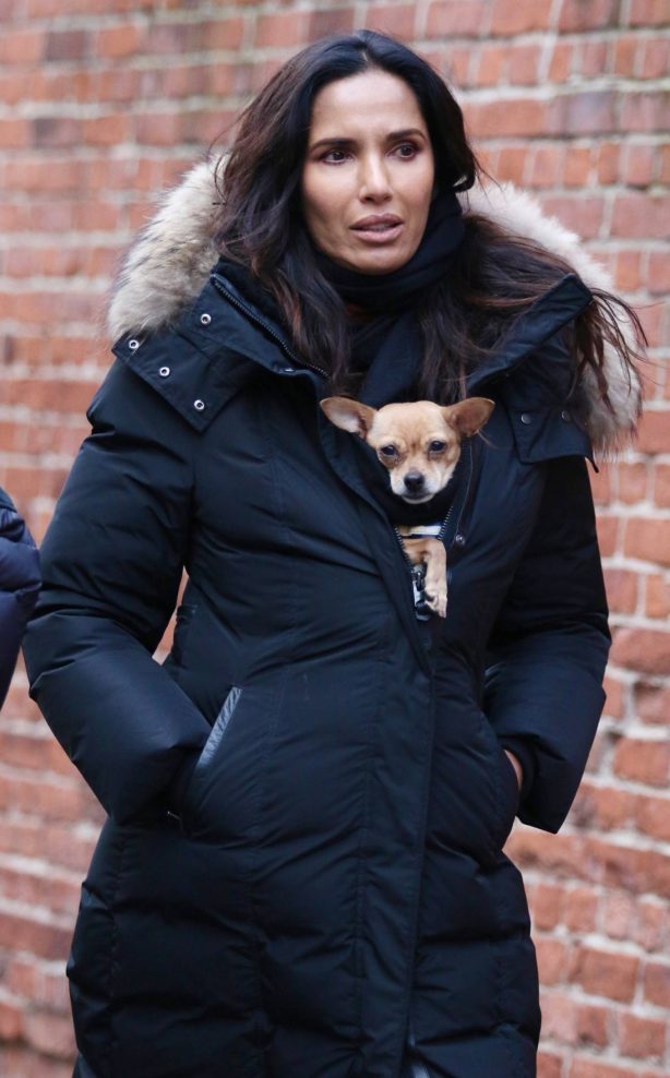Padma Lakshmi - With her dog Divina warm inside her puffer jacket in New York