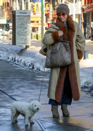 Parker Posey with her dog out in NYC