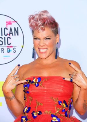Pink - 2017 American Music Awards in Los Angeles
