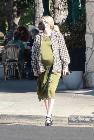 Pregnant Emma Roberts - Seen shopping in Los Angeles