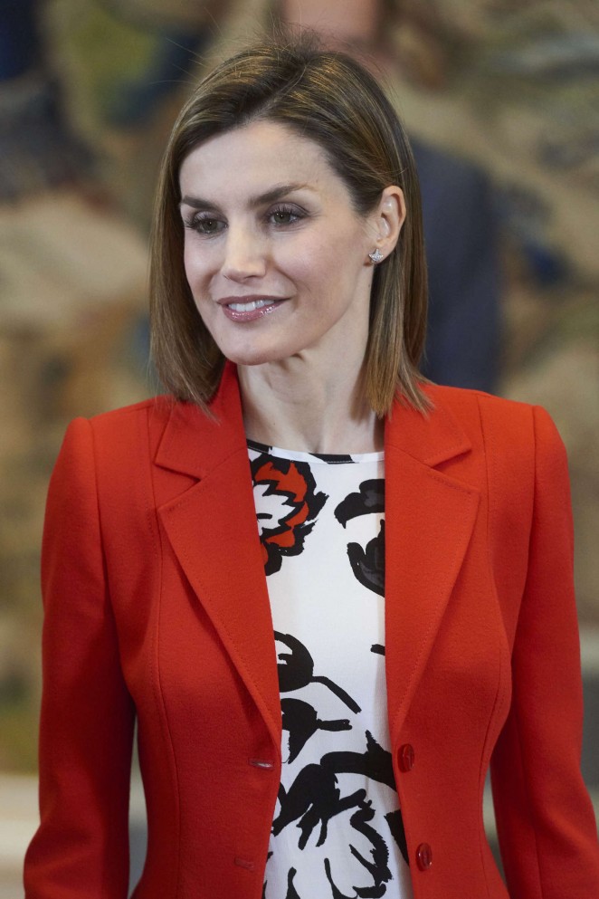 Queen Letizia During an audience in Madrid