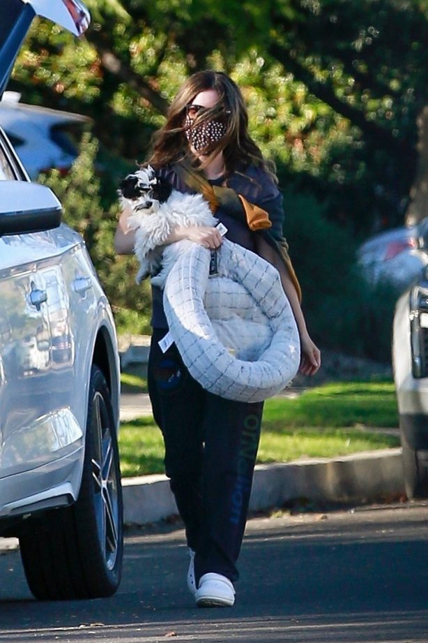 Rachel Bilson - Out with her dog in Los Angeles