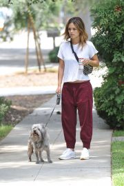 Rachel Bilson - Walking her dog in Los Angeles